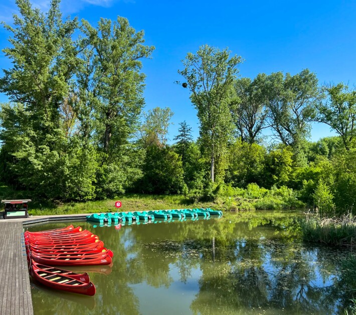 Ein Steg, rote Kanus und grüne Tretboote inmitten der Tullner Donauauen