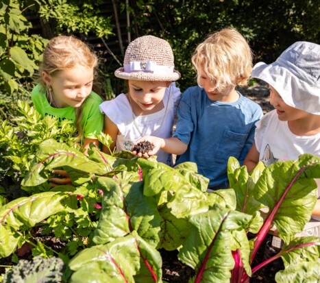 Four children looking at the soil from a raised vegetable bed